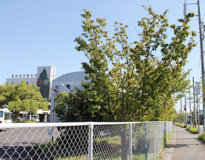 直進していただくと、左手に「椙山女学園大学」が見えます。そのまま直進してください。